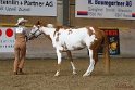 23-APHA SS_039